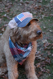 Star Hat, Red, White and Blue Hat