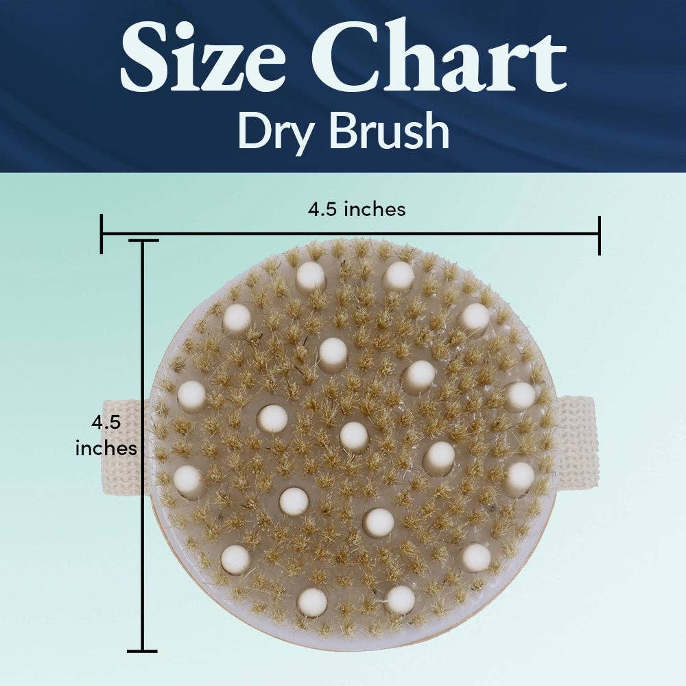 Bamboo Dry Brush